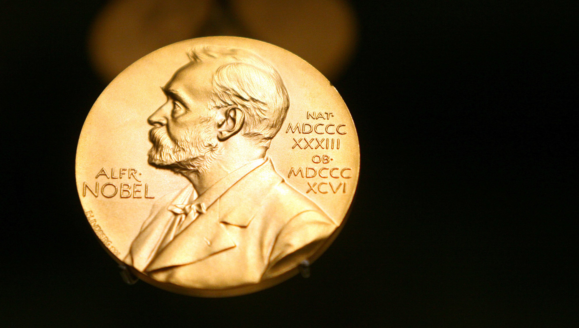 You are currently viewing Sexual violence campaigners win Nobel Peace Prize